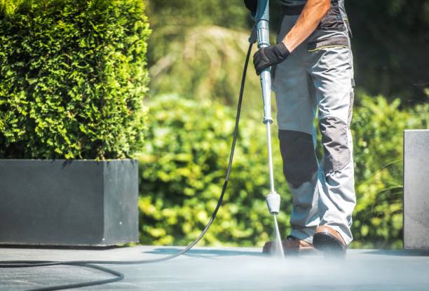 Best Soft Washing  in Rowland Heights, CA
